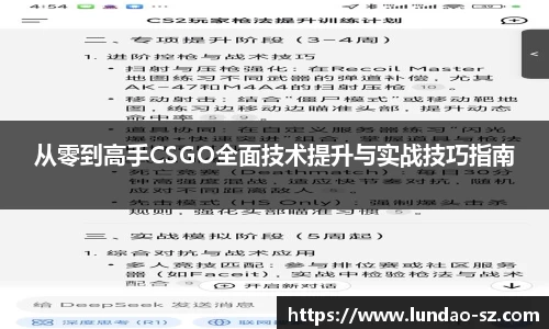 从零到高手CSGO全面技术提升与实战技巧指南